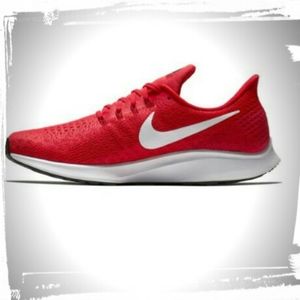 Mens nike Pegasus 35
